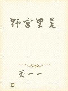 野宫里美封面