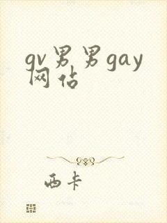 gv男男gay网站