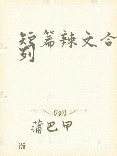 短篇辣文合集系列封面