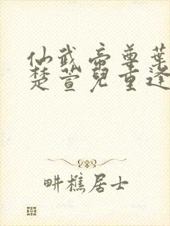 仙武帝尊叶辰和楚萱儿重逢封面