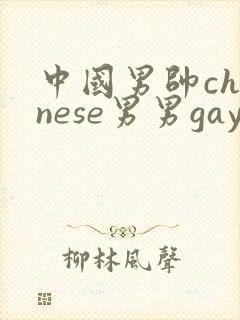 中国男帅chinese男男gay