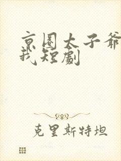 京圈太子爷缠上我短剧封面