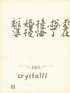 离婚后,总裁老婆后悔了在线阅读