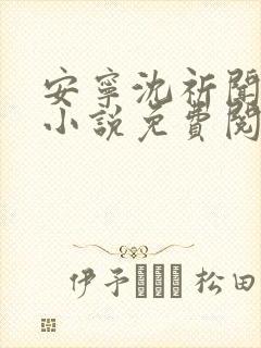 安宁沈祈闻主角小说免费阅读封面