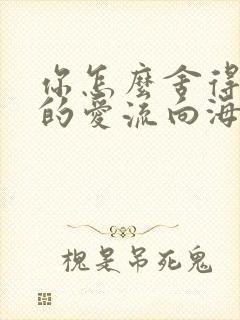 你怎么舍得让我的爱流向海