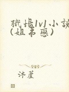 职场1v1小说(姐弟恋)