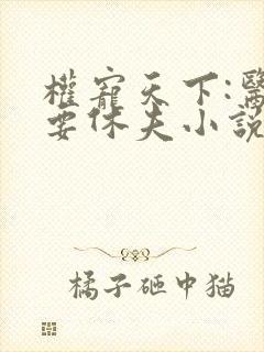 权宠天下:医妃要休夫小说