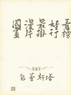 国漫最好看的动画片排行榜