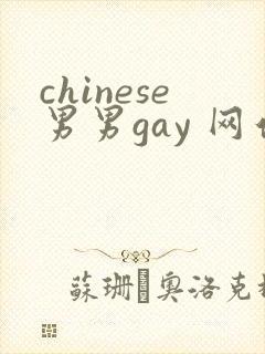 chinese男男gay 网站