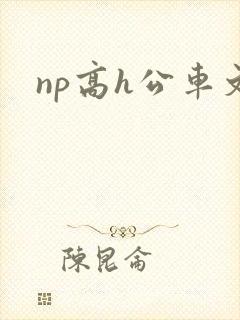 np高h公车文