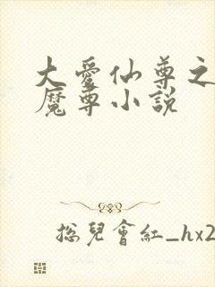 大爱仙尊之邪淫魔尊小说