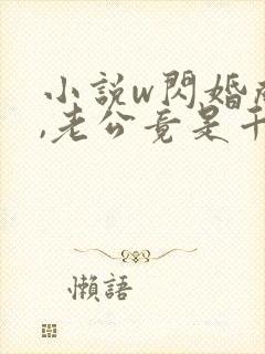 小说w闪婚成宠,老公竟是千亿大佬》