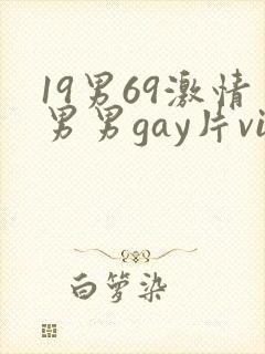 19男69激情男男gay片vid封面