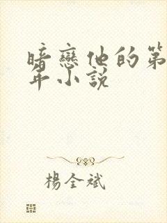 暗恋他的第十一年小说