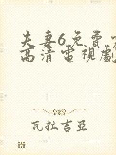 夫妻6免费完整高清电视剧看