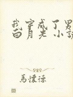 我穿成了男主的白月光 小说