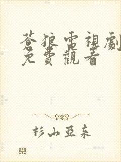 苍狼电视剧高清免费观看