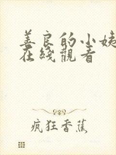 善良的小姨中字在线观看封面