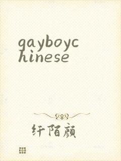 gayboychinese
