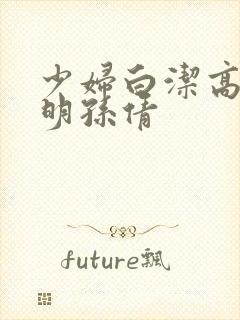 少妇白洁高义李明孙倩封面