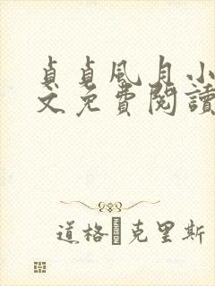 贞贞风月小说全文免费阅读最新章节