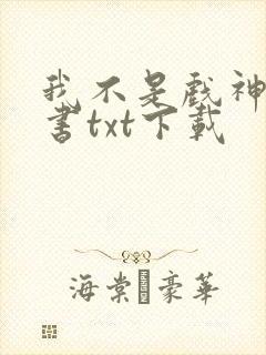 我不是戏神电子书txt下载封面