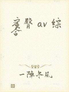 蜜臀 av 综合