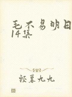 毛不易明日之子14集