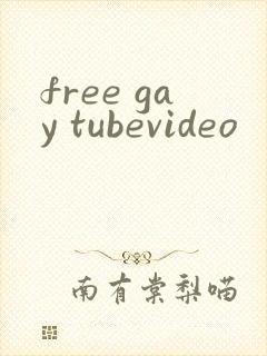 free gay tubevideo封面