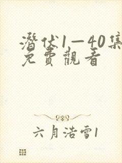 潜伏1—40集免费观看