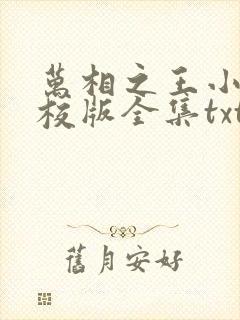 万相之王小说精校版全集txt