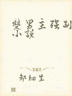 双男主强制爱h小说