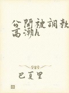 公开被调教当众高潮h封面