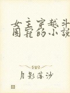 女主穿越斗罗当团宠的小说