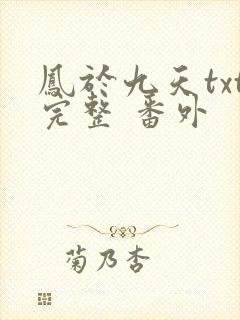 凤于九天txt完整 番外封面