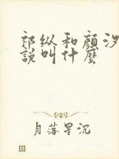 祁纵和颜汐的小说叫什么