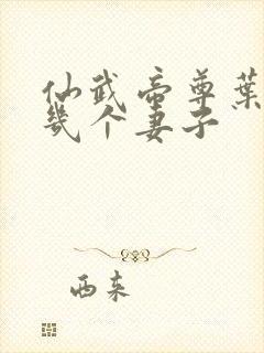 仙武帝尊叶辰有几个妻子