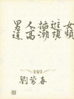 男人插进女人阴道高潮视频