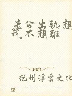 老公出轨想离婚我不想离