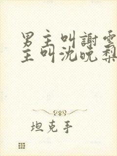 男主叫谢云迟女主叫沈晚梨的小说