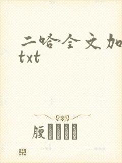 二哈全文加番外txt