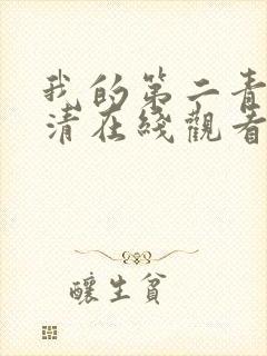 我的第二青春高清在线观看