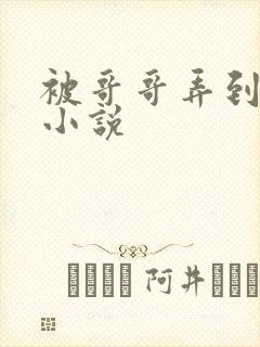 被哥哥弄到高潮小说封面