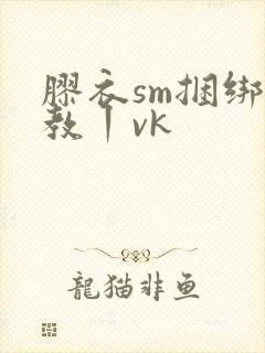 胶衣sm捆绑调教丨vk封面