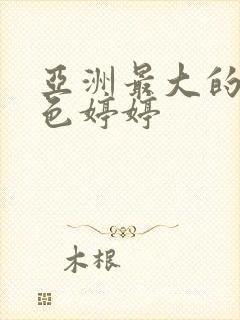 亚洲最大的av色婷婷封面