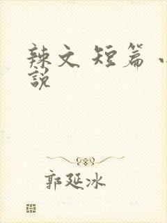 辣文 短篇 小说