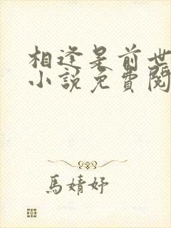 相逢是前世注定小说免费阅读封面