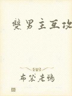 双男主互攻黄文