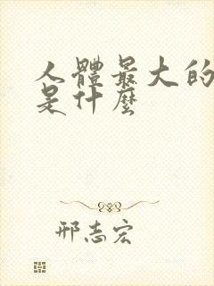 人体最大的扁肌是什么