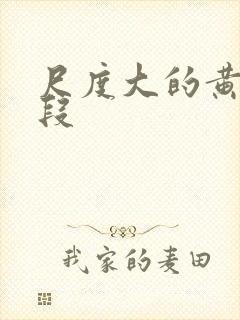 尺度大的黄片片段